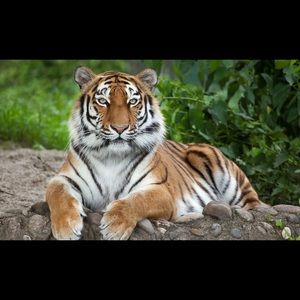 Meet your Posher, Nathan